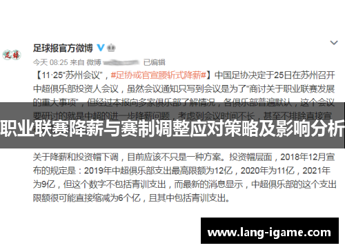 职业联赛降薪与赛制调整应对策略及影响分析