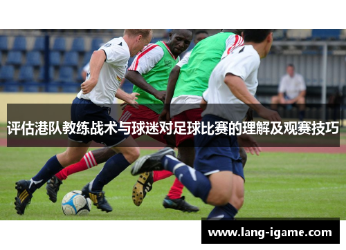 评估港队教练战术与球迷对足球比赛的理解及观赛技巧