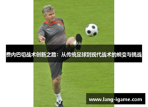 费内巴切战术创新之路：从传统足球到现代战术的蜕变与挑战