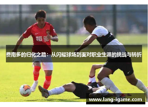 费南多的归化之路:从闪耀球场到面对职业生涯的挑战与转折 费南多的归化之路:从闪耀球场到面对职业生涯的挑战与转折